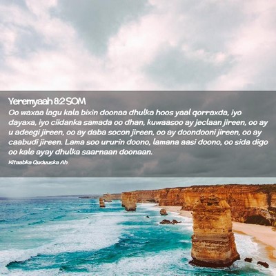 Picture 02 - Yeremyaah 8:2 SOM - Oo waxaa lagu kala bixin doonaa dhulka hoos yaal - Bible Verse Picture