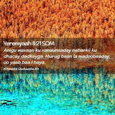 Picture 02 - Yeremyaah 8:21 SOM - Anigu waxaan ku xanuunsaday nabarkii ku dhacay - Bible Verse Picture