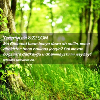 Picture 02 - Yeremyaah 8:22 SOM - Ma Gilecaad baan beeyo dawo ah oollin, mase - Bible Verse Picture