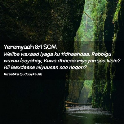 Picture 02 - Yeremyaah 8:4 SOM - Weliba waxaad iyaga ku tidhaahdaa, Rabbigu wuxuu - Bible Verse Picture