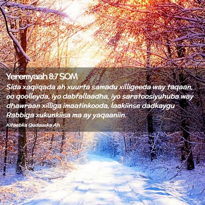 Picture 02 - Yeremyaah 8:7 SOM - Sida xaqiiqada ah xuurta samadu xilligeeda way - Bible Verse Picture