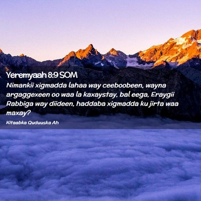 Picture 02 - Yeremyaah 8:9 SOM - Nimankii xigmadda lahaa way ceeboobeen, wayna - Bible Verse Picture