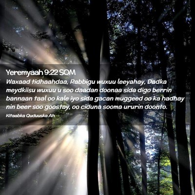 Picture 02 - Yeremyaah 9:22 SOM - Waxaad tidhaahdaa, Rabbigu wuxuu leeyahay, Dadka - Bible Verse Picture