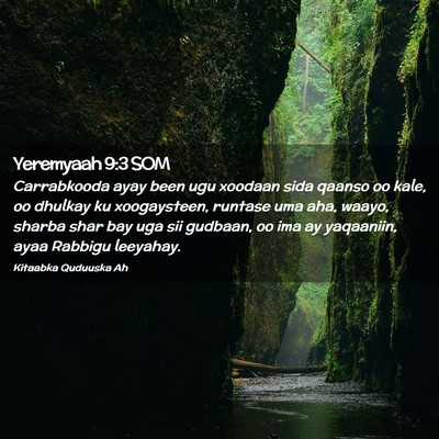 Picture 02 - Yeremyaah 9:3 SOM - Carrabkooda ayay been ugu xoodaan sida qaanso oo - Bible Verse Picture
