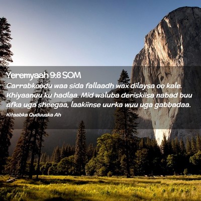 Picture 02 - Yeremyaah 9:8 SOM - Carrabkoodu waa sida fallaadh wax dilaysa oo - Bible Verse Picture
