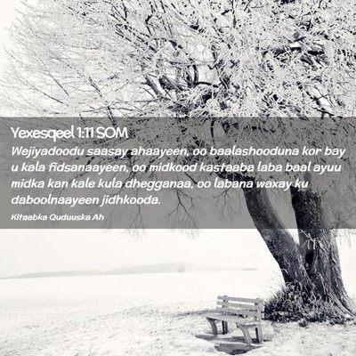 Picture 02 - Yexesqeel 1:11 SOM - Wejiyadoodu saasay ahaayeen, oo baalashooduna kor - Bible Verse Picture