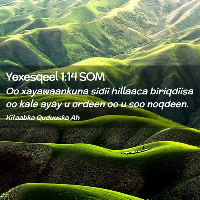 Picture 02 - Yexesqeel 1:14 SOM - Oo xayawaankuna sidii hillaaca biriqdiisa oo kale - Bible Verse Picture