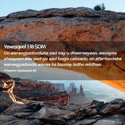 Picture 02 - Yexesqeel 1:18 SOM - Oo wareegyadooduna aad bay u dheeraayeen, waxayna - Bible Verse Picture