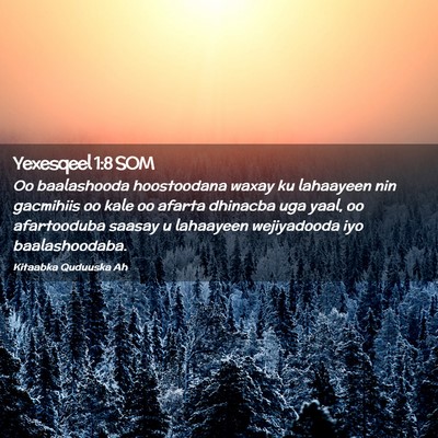 Picture 02 - Yexesqeel 1:8 SOM - Oo baalashooda hoostoodana waxay ku lahaayeen nin - Bible Verse Picture