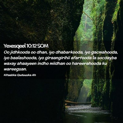 Picture 02 - Yexesqeel 10:12 SOM - Oo jidhkooda oo dhan, iyo dhabarkooda, iyo - Bible Verse Picture