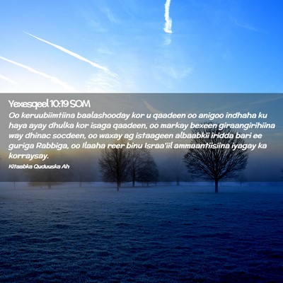 Picture 02 - Yexesqeel 10:19 SOM - Oo keruubiimtiina baalashooday kor u qaadeen oo - Bible Verse Picture