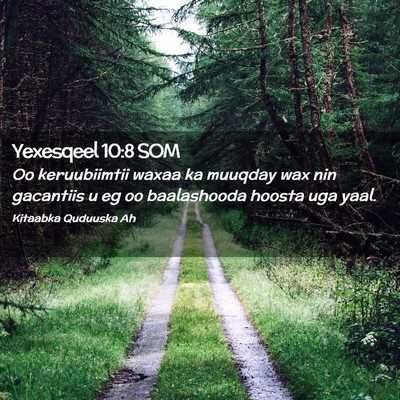 Picture 02 - Yexesqeel 10:8 SOM - Oo keruubiimtii waxaa ka muuqday wax nin - Bible Verse Picture