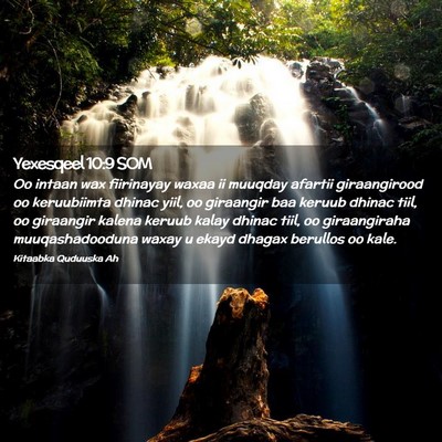 Picture 02 - Yexesqeel 10:9 SOM - Oo intaan wax fiirinayay waxaa ii muuqday afartii - Bible Verse Picture