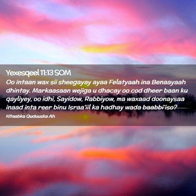 Picture 02 - Yexesqeel 11:13 SOM - Oo intaan wax sii sheegayay ayaa Felatyaah ina - Bible Verse Picture