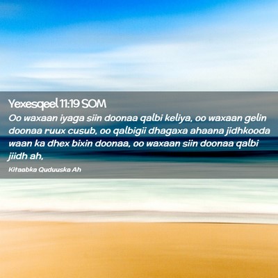 Picture 02 - Yexesqeel 11:19 SOM - Oo waxaan iyaga siin doonaa qalbi keliya, oo - Bible Verse Picture