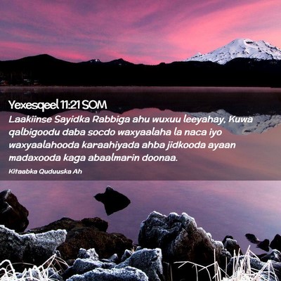 Picture 02 - Yexesqeel 11:21 SOM - Laakiinse Sayidka Rabbiga ahu wuxuu leeyahay, - Bible Verse Picture