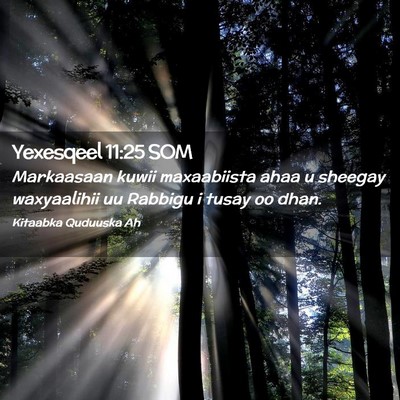 Picture 02 - Yexesqeel 11:25 SOM - Markaasaan kuwii maxaabiista ahaa u sheegay - Bible Verse Picture