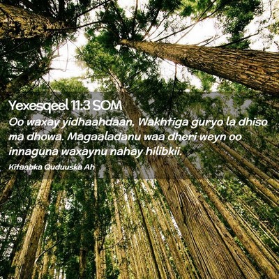 Picture 02 - Yexesqeel 11:3 SOM - Oo waxay yidhaahdaan, Wakhtiga guryo la dhiso ma - Bible Verse Picture
