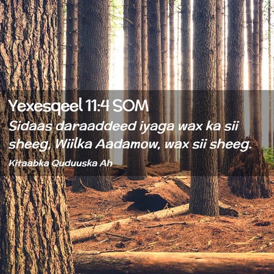 Picture 02 - Yexesqeel 11:4 SOM - Sidaas daraaddeed iyaga wax ka sii sheeg, Wiilka - Bible Verse Picture