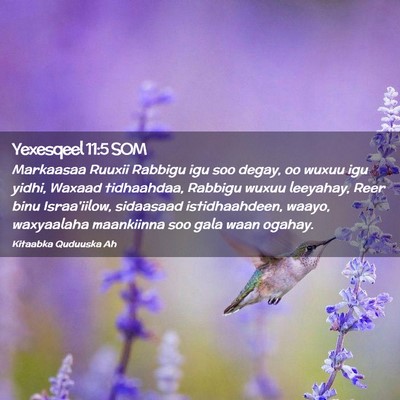 Picture 02 - Yexesqeel 11:5 SOM - Markaasaa Ruuxii Rabbigu igu soo degay, oo wuxuu - Bible Verse Picture