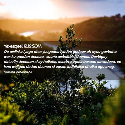 Picture 02 - Yexesqeel 12:12 SOM - Oo amiirka iyaga dhex joogaana iyadoo gudcur ah - Bible Verse Picture