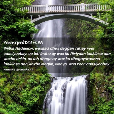 Picture 02 - Yexesqeel 12:2 SOM - Wiilka Aadamow, waxaad dhex deggan tahay reer - Bible Verse Picture