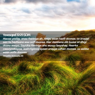 Picture 02 - Yexesqeel 12:25 SOM - Maxaa yeelay, anaa Rabbiga ah. Anigu waan hadli - Bible Verse Picture