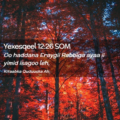 Picture 02 - Yexesqeel 12:26 SOM - Oo haddana Eraygii Rabbiga ayaa ii yimid isagoo - Bible Verse Picture