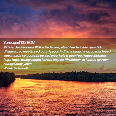 Picture 02 - Yexesqeel 12:3 SOM - Sidaas daraaddeed Wiilka Aadamow, alaabtaada - Bible Verse Picture