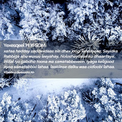 Picture 02 - Yexesqeel 14:16 SOM - xataa hadday saddexdaas nin dhex joogi lahaayeen, - Bible Verse Picture