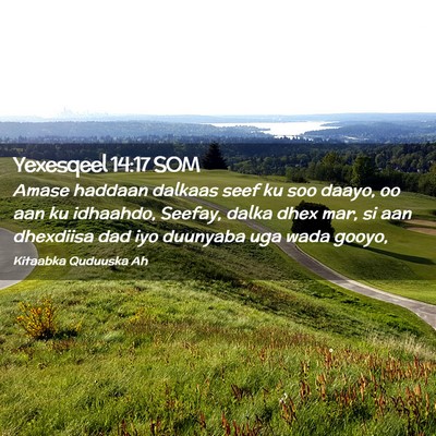 Picture 02 - Yexesqeel 14:17 SOM - Amase haddaan dalkaas seef ku soo daayo, oo aan - Bible Verse Picture