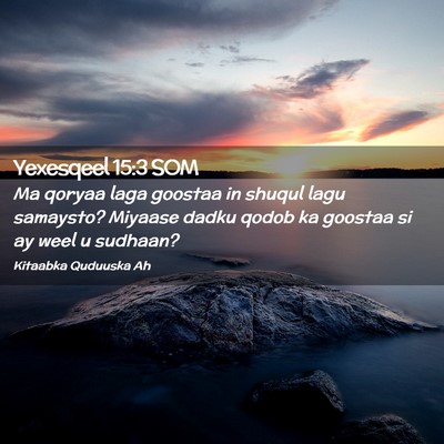 Picture 02 - Yexesqeel 15:3 SOM - Ma qoryaa laga goostaa in shuqul lagu samaysto? - Bible Verse Picture