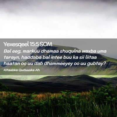 Picture 02 - Yexesqeel 15:5 SOM - Bal eeg, markuu dhamaa shuqulna waxba uma tarayn, - Bible Verse Picture