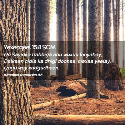 Picture 02 - Yexesqeel 15:8 SOM - Oo Sayidka Rabbiga ahu wuxuu leeyahay, Dalkaan - Bible Verse Picture