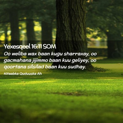 Picture 02 - Yexesqeel 16:11 SOM - Oo weliba wax baan kugu sharraxay, oo gacmahana - Bible Verse Picture