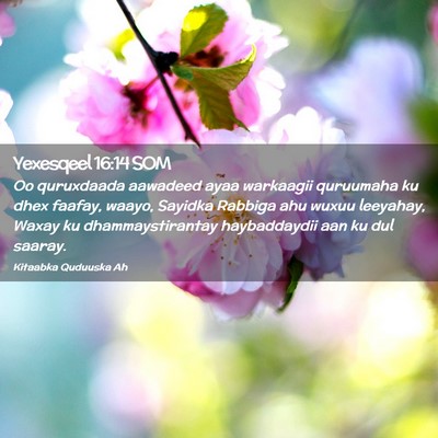 Picture 02 - Yexesqeel 16:14 SOM - Oo quruxdaada aawadeed ayaa warkaagii quruumaha - Bible Verse Picture
