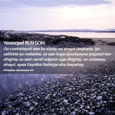 Picture 02 - Yexesqeel 16:19 SOM - Oo cuntadaydii aan ku siiyey, oo ahayd daqiiqda, - Bible Verse Picture