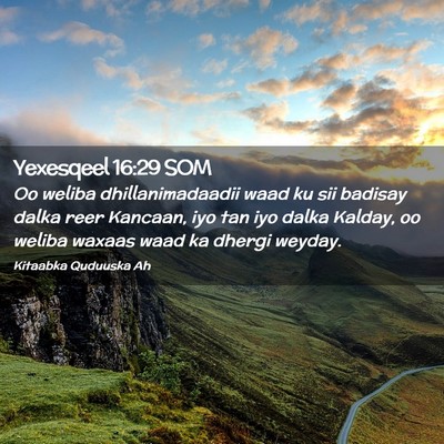 Picture 02 - Yexesqeel 16:29 SOM - Oo weliba dhillanimadaadii waad ku sii badisay - Bible Verse Picture