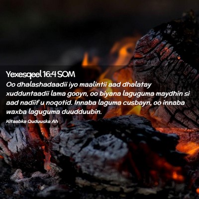 Picture 02 - Yexesqeel 16:4 SOM - Oo dhalashadaadii iyo maalintii aad dhalatay - Bible Verse Picture