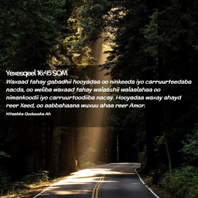 Picture 02 - Yexesqeel 16:45 SOM - Waxaad tahay gabadhii hooyadaa oo ninkeeda iyo - Bible Verse Picture