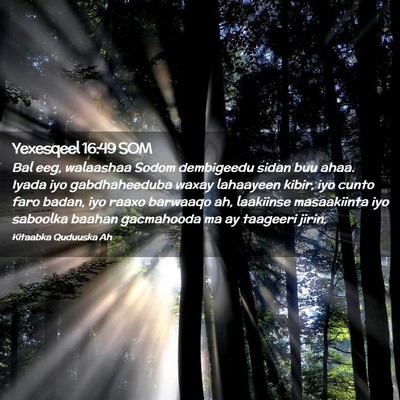 Picture 02 - Yexesqeel 16:49 SOM - Bal eeg, walaashaa Sodom dembigeedu sidan buu - Bible Verse Picture