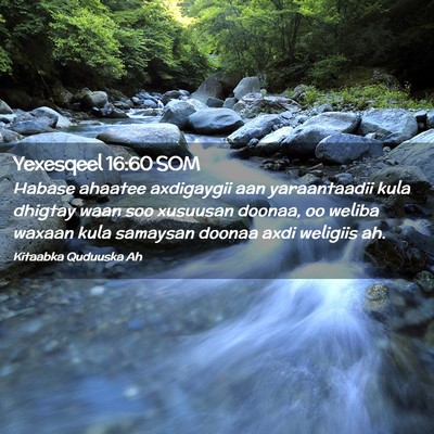 Picture 02 - Yexesqeel 16:60 SOM - Habase ahaatee axdigaygii aan yaraantaadii kula - Bible Verse Picture