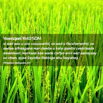 Picture 02 - Yexesqeel 16:63 SOM - si aad wax u soo xusuusatid, oo aad u - Bible Verse Picture
