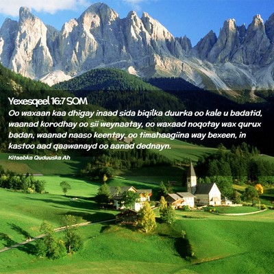 Picture 02 - Yexesqeel 16:7 SOM - Oo waxaan kaa dhigay inaad sida biqilka duurka oo - Bible Verse Picture