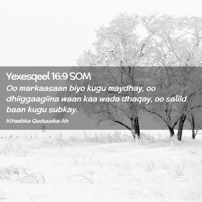 Picture 02 - Yexesqeel 16:9 SOM - Oo markaasaan biyo kugu maydhay, oo dhiiggaagiina - Bible Verse Picture