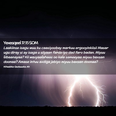 Picture 02 - Yexesqeel 17:15 SOM - Laakiinse isagu wuu ku caasiyoobay markuu - Bible Verse Picture