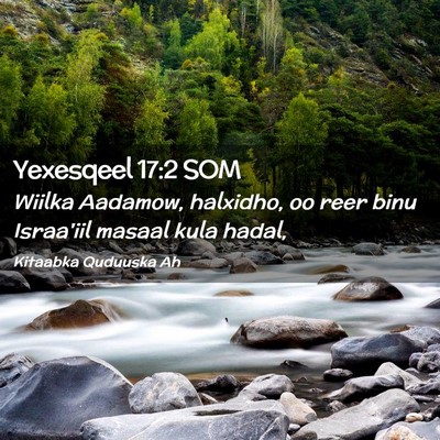 Picture 02 - Yexesqeel 17:2 SOM - Wiilka Aadamow, halxidho, oo reer binu Israa'iil - Bible Verse Picture