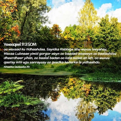 Picture 02 - Yexesqeel 17:3 SOM - oo waxaad ku tidhaahdaa, Sayidka Rabbiga ahu - Bible Verse Picture