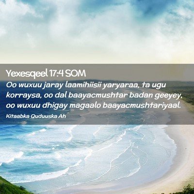Picture 02 - Yexesqeel 17:4 SOM - Oo wuxuu jaray laamihiisii yaryaraa, ta ugu - Bible Verse Picture