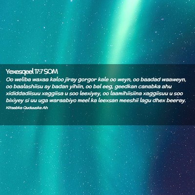 Picture 02 - Yexesqeel 17:7 SOM - Oo weliba waxaa kaloo jiray gorgor kale oo weyn, - Bible Verse Picture